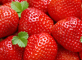 北京裕金农产品有限公司CMS